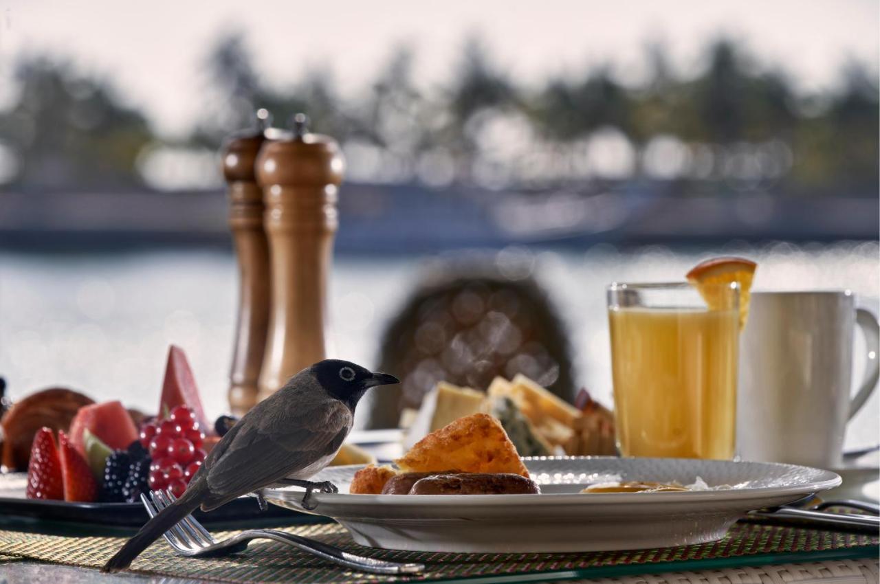Fanar Hotel & Residences Salalah Esterno foto A bird at a breakfast table